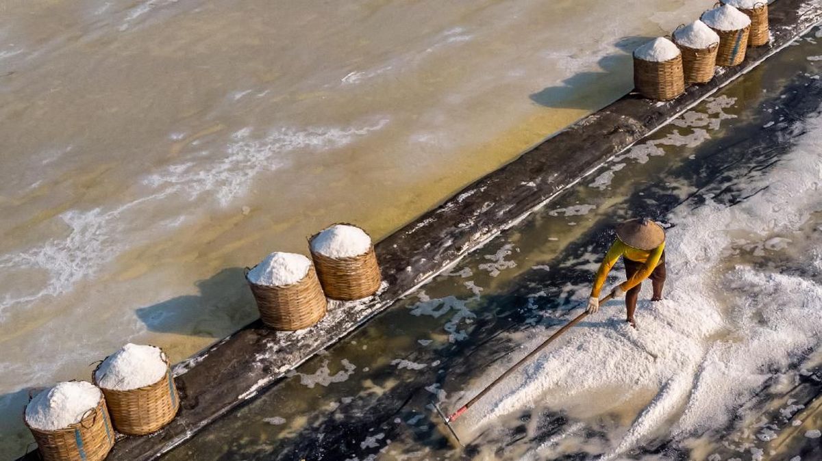 Pengusaha Ungkap Dua Alasan Garam Rakyat Kurang Dilirik Industri Mamin