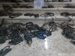 Penampakan Jerat Satwa di Kawasan Konservasi Sultra