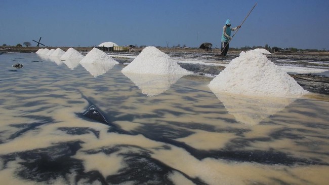 KKP Bidik Rote Ndao NTT Jadi Sentra Produksi Garam KKP membidik Kabupaten Rote Ndao, NTT, menjadi wilayah sentra garam nasional demi mewujudkan swasembada garam pada akhir 2027.