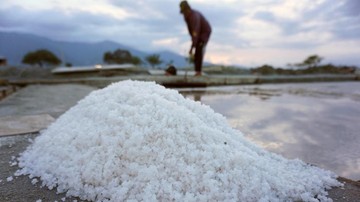 Rote Ndao Diproyeksikan Pasok Ratusan Ribu Ton Garam per Tahun