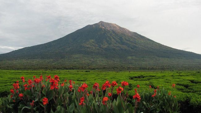 Jalur pendakian di Gunung Kerinci dan Danau Gunung Tujuh telah kembali dibuka dengan protokol kesehatan yang ketat.