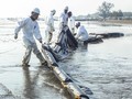 Pertamina Belum Tetapkan Ganti Rugi Tumpahan Minyak