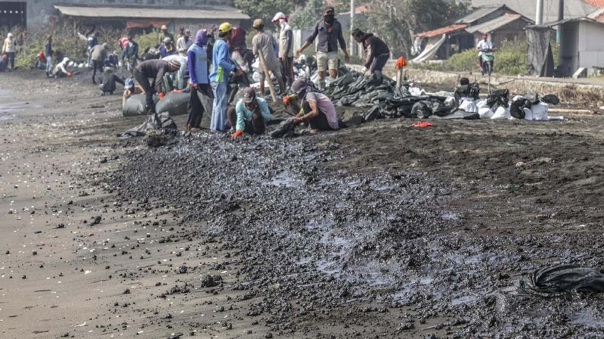 FOTO: Kerja Keras Bersihkan Tumpahan Minyak di Karawang