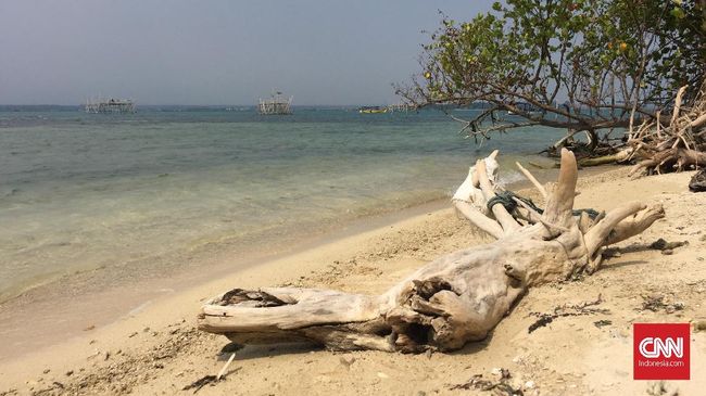Pulau Panjang di Jepara menjadi destinasi wisata sekaligus area konservasi pelbagai flora. Sayangnya, masih banyak sampah plastik bertebaran di mana-mana.
