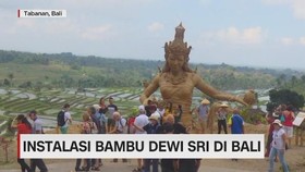  VIDEO: Inilah Instalasi Bambu Dewi Sri di Bali