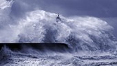 Waspada Tsunami 10 Daerah Indonesia, Warga Diminta Jauhi Pantai