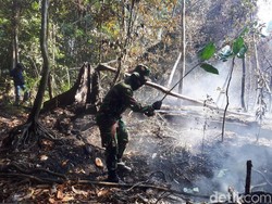 Cegah Karhutla di Aceh, Polisi Cari Penyebab Warga Bakar Hutan