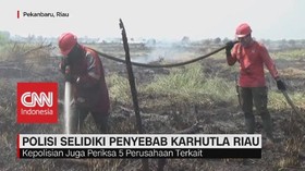 VIDEO: Polisi Selidiki Penyebab Karhutla Riau