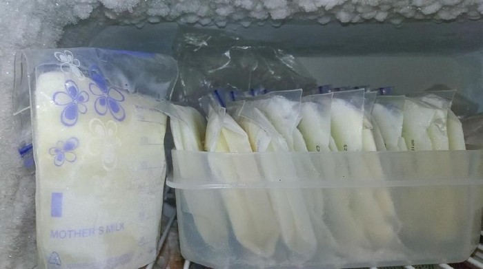 breast milk packed in storage bags, frozen in the fridge