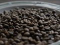 Kopi yang Menghapus Batas, Ciptakan Kesetaraan Kaum Marjinal