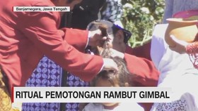VIDEO: Ritual Pemotongan Rambut Gimbal