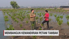 VIDEO: Membangun Kemandirian Petani Tambak (4/5)