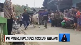VIDEO: Sapi, Kambing, Beras & Sepeda Motor Jadi Seserahan