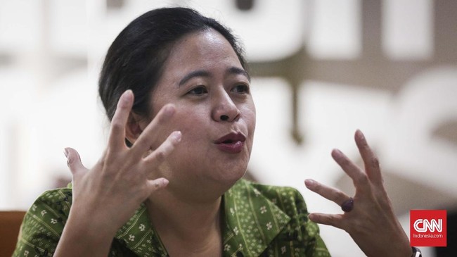 Ketua DPR Puan Maharani menganggap Kementerian Lingkungan Hidup dan Kehutanan di periode sebelumnya tak optimal ketika bermitra dengan Komisi IV dan Komisi VII.