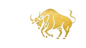 Peruntungan Zodiak Taurus pada Tahun 2020