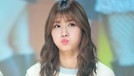 6 Potret Momo TWICE yang Imut dan Menggemaskan Tengah menjadi perbincangan publik. Begini enam potret imut dan menggemaskan Momo TWICE.