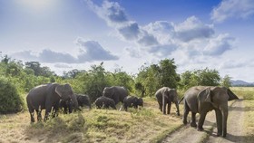 6 Tips Aman Bertualang di Taman Nasional