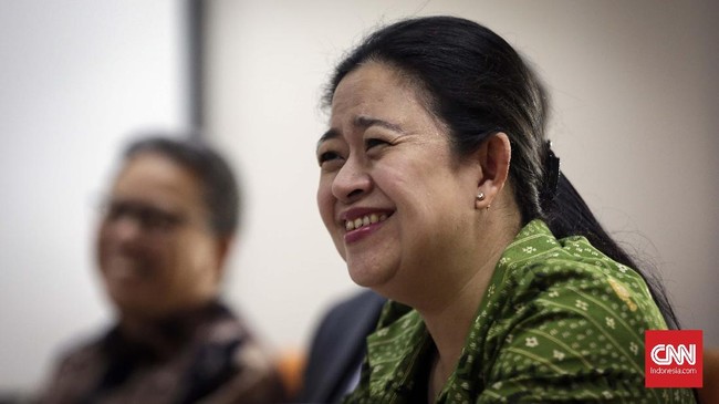 Puan Maharani mengenang saat reformasi pecah pada 21 Mei 1998, dirinya menjadi juru masak di rumah. Saat itu dia baru lulus kuliah.
