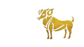 Peruntungan Zodiak Capricorn di Tahun 2020
