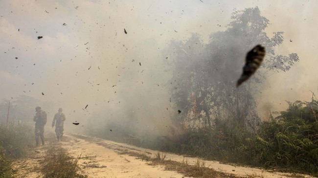 Bayi empat bulan meninggal dunia karena menderita ISPA di Palembang. Kabut asap akibat kebakaran hutan dan lahan (karhutla) diduga menjadi penyebabnya.