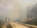Kebakaran Lahan 100 Hektare, Tol Palindra Dikepung Api