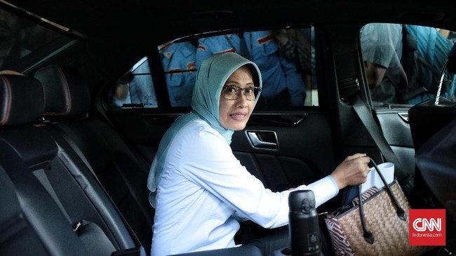 PLN menyatakan faktor penyebab insiden pemadaman listrik massal bukan hanya soal pohon, karena sistem kelistrikan di Jawa dan Bali sangat kompleks.