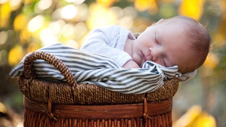 Newborn baby sleeping peacefully wrapped in blanket in a wicker basket outdoors.