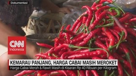 VIDEO: Kemarau Panjang, Harga Cabai Masih Meroket