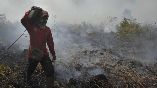 KLHK menyegel 19 perusahaan perkebunan terkait Kebakaran Hutan dan Lahan di Sumatera dan Kalimantan. Salah satu perusahaan yang disegel beroperasi di Jambi.