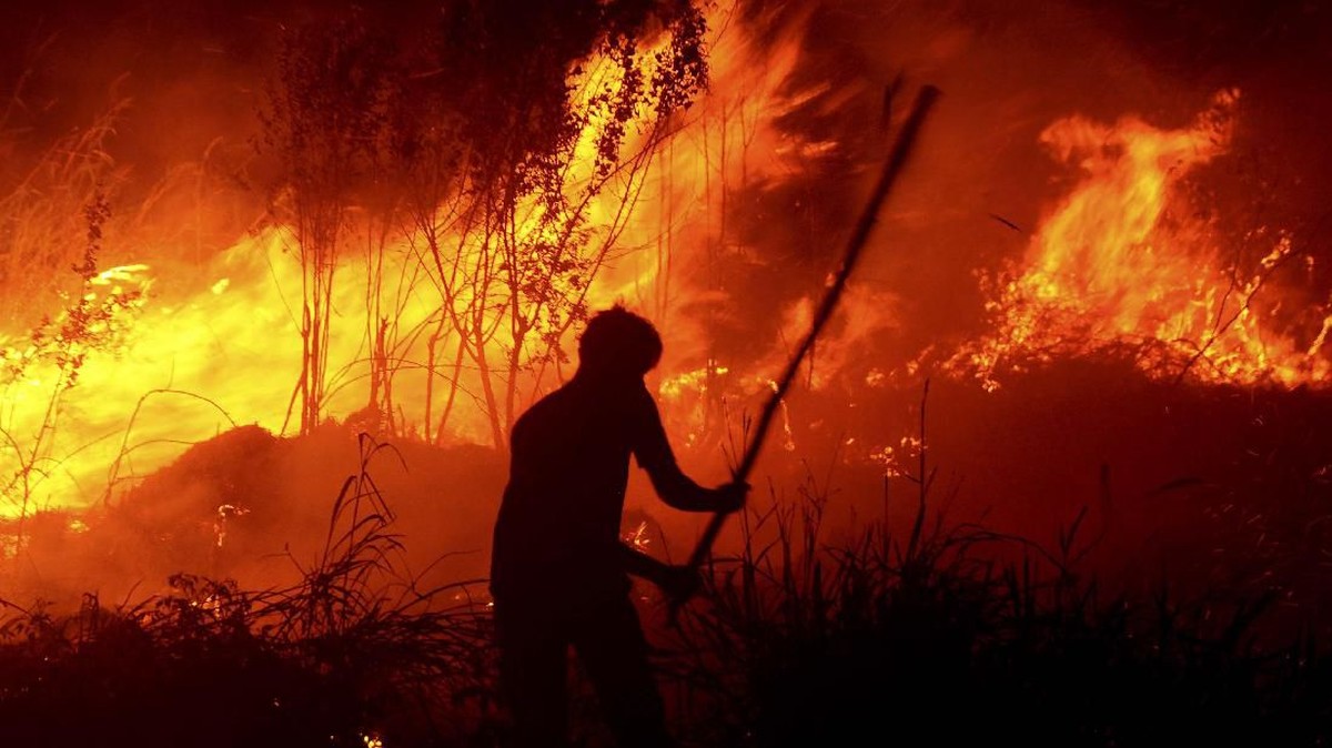 FOTO : Kabut Asap Karhutla Ancam Kesehatan Warga