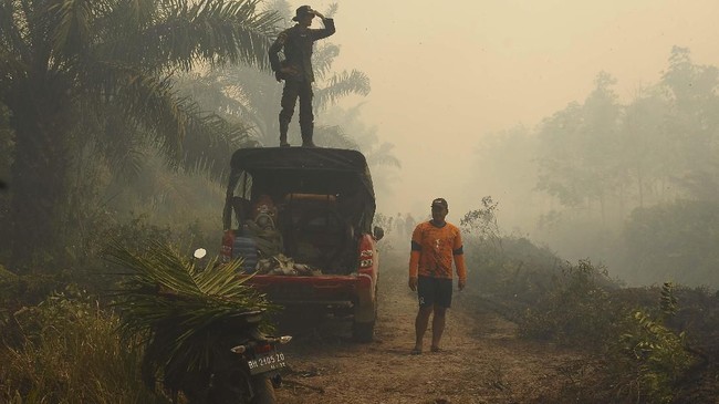 Komandan Satgas Karhutla Provinsi Jambi Brigjen TNI Supriono menduga kabut asap yang menyelimuti Kota Jambi berasal dari Sumatera Selatan (Sumsel).