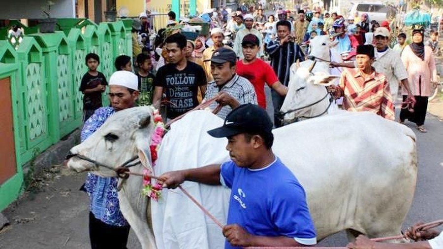 7 Tradisi Unik Idul Adha di Indonesia