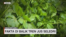 VIDEO: Fakta di Balik Manfaat Jus Seledri