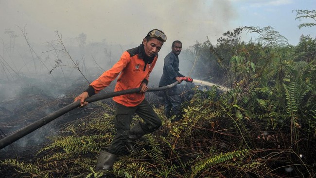 Aktivis lingkungan hidup menyebut pembangunan infrastruktur dapat mengancam ekosistem lahan gambut di Kalimantan Timur.