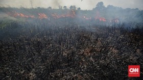 Lahan 2 Hektare di Kalbar Terbakar, Petani Jadi Tersangka