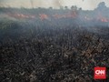 Lahan 2 Hektare di Kalbar Terbakar, Petani Jadi Tersangka