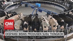 VIDEO: Ekspansi Bisnis Produsen Susu Tiongkok
