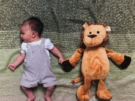 20 Nama Bayi Laki-laki Islami Bermakna Singa