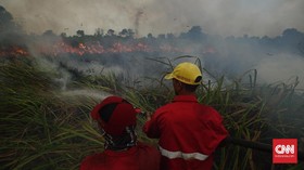 Lebih dari 24 Jam Karhutla di OKI Sumsel Masih Membara