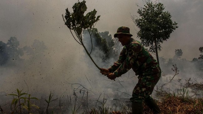 Asap kabut akibat karhutla yang terjadi di kawasan Malaysia mencapai fase berbahaya saat Idul Adha.