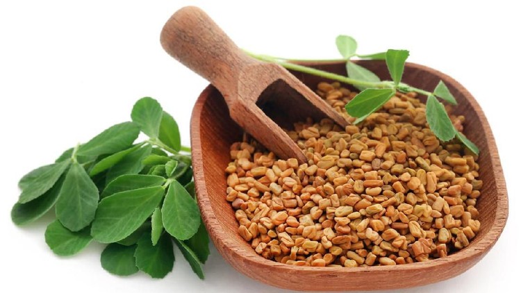 fenugreek Fenugreek seeds with green leaves over white
