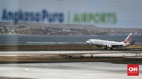 Burung Nyangkut, Pesawat Virgin Australia Terpaksa Mendarat Darurat