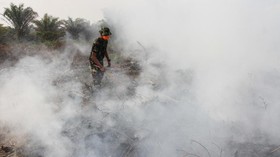 Empat Korporasi dan 175 Orang Jadi Tersangka Karhutla