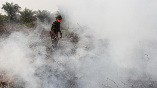 Satgas Karhutla Sumsel mengeluarkan ancaman tembak di tempat kepada pelaku pembakaran agar memberi efek jera kepada pelaku.