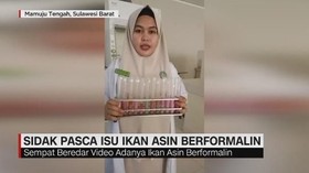 VIDEO: Sidak Pasca Isu Ikan Asin Berformalin