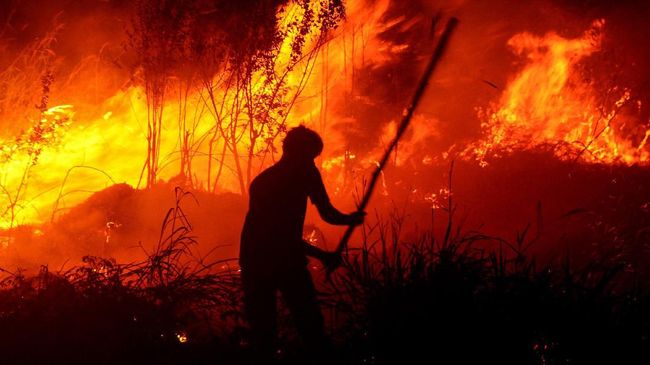 Tak sulit untuk memperkaya bumi dengan udara bersih. Salah satu caranya jangan membakar hutan.