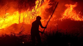 Menjaga 'Heart of Borneo' Tetap Berdetak