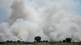 PNS Pemilik Lahan di Sumsel Ditetapkan Tersangka Karhutla