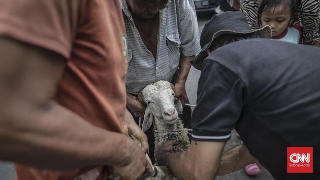Biaya sewa lapak para pedagang kurban di Mampang, misalnya, mencapai Rp27 juta per bulan, dan rata-rata Rp500 ribu per hari.