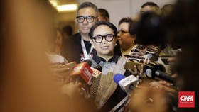 Menlu Janji Perjuangkan Kepentingan Sawit Indonesia